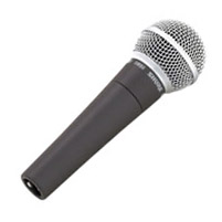 Micro SHURE SM 58 (chant)
