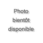 Projecteur ADB Plan convexe 1 000 W