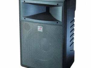 Enceinte DAS DS 12 300 W - 8 Ohms