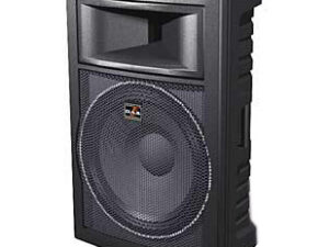 Enceinte Face/Retour DAS DS 15 300 W - 8 Ohms